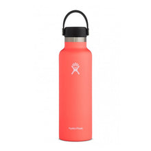 Load image into Gallery viewer, Hydro Flask 21 oz Standard Mouth