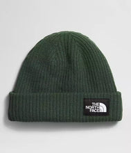 Load image into Gallery viewer, The North Face Salty Dog Lined Beanie
