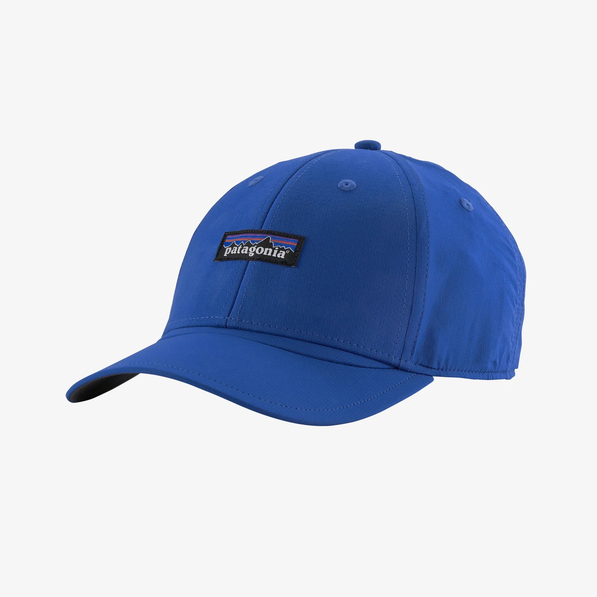 Patagonia sales cap blue